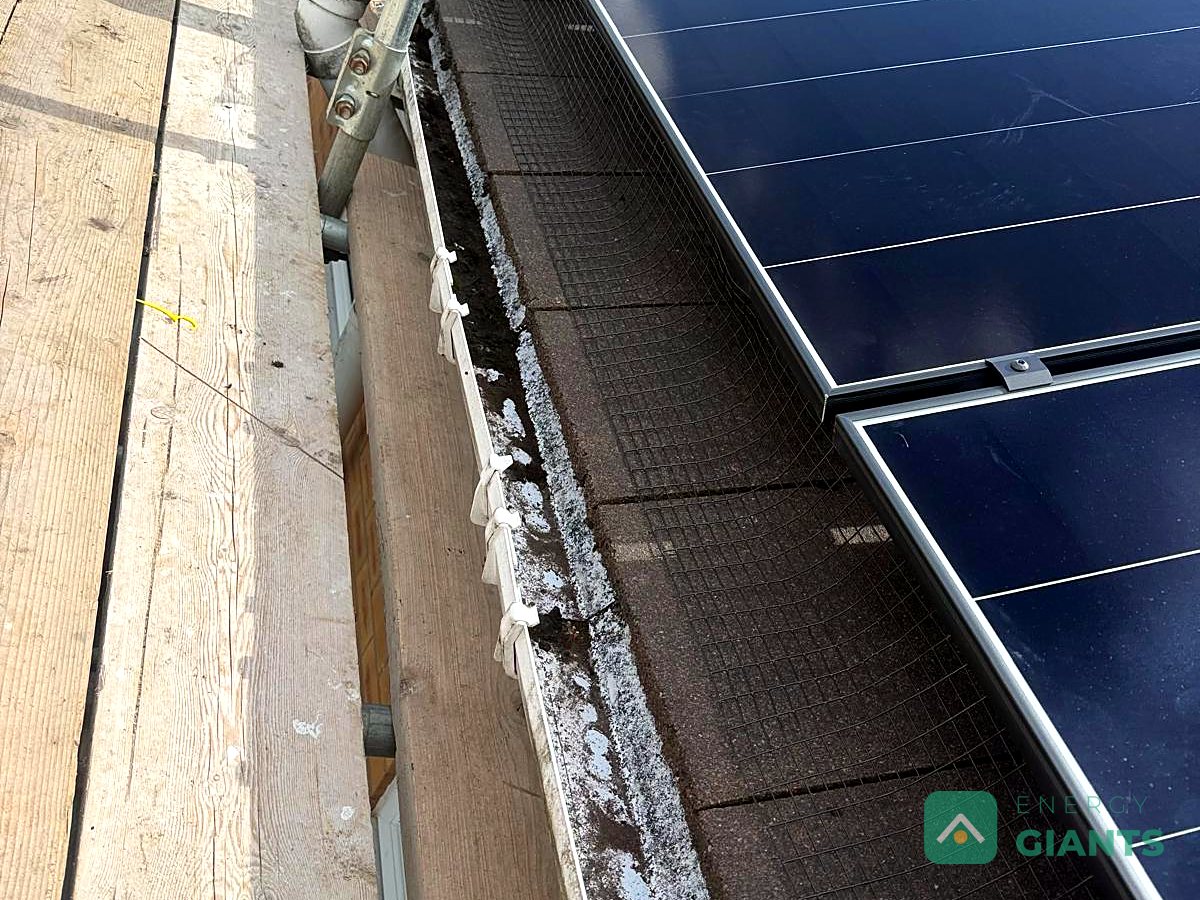 Panel edge with bird mesh fitted along the gutter line