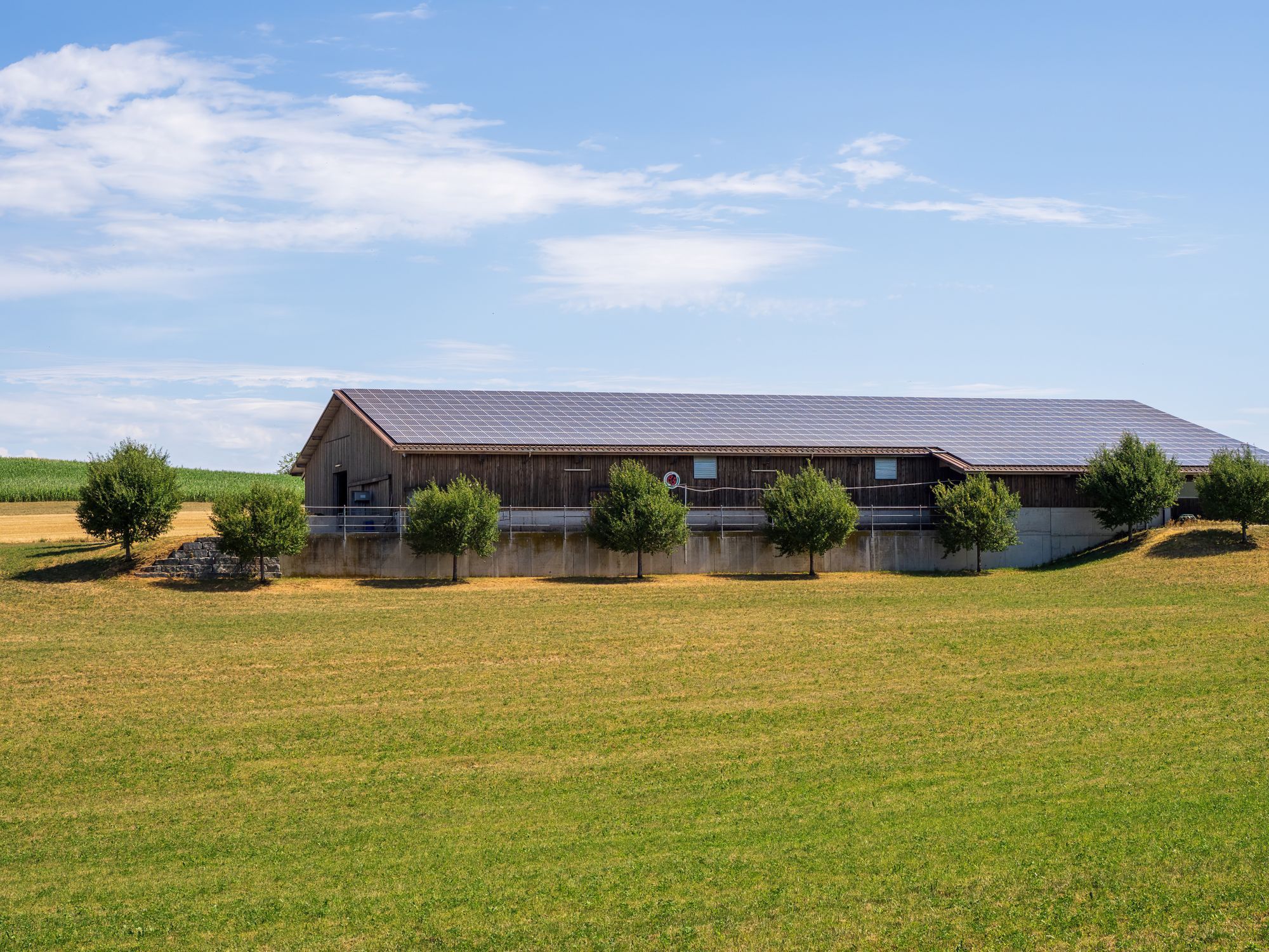 A long agricultural building with solar panels across its whole roof, beside a grass field