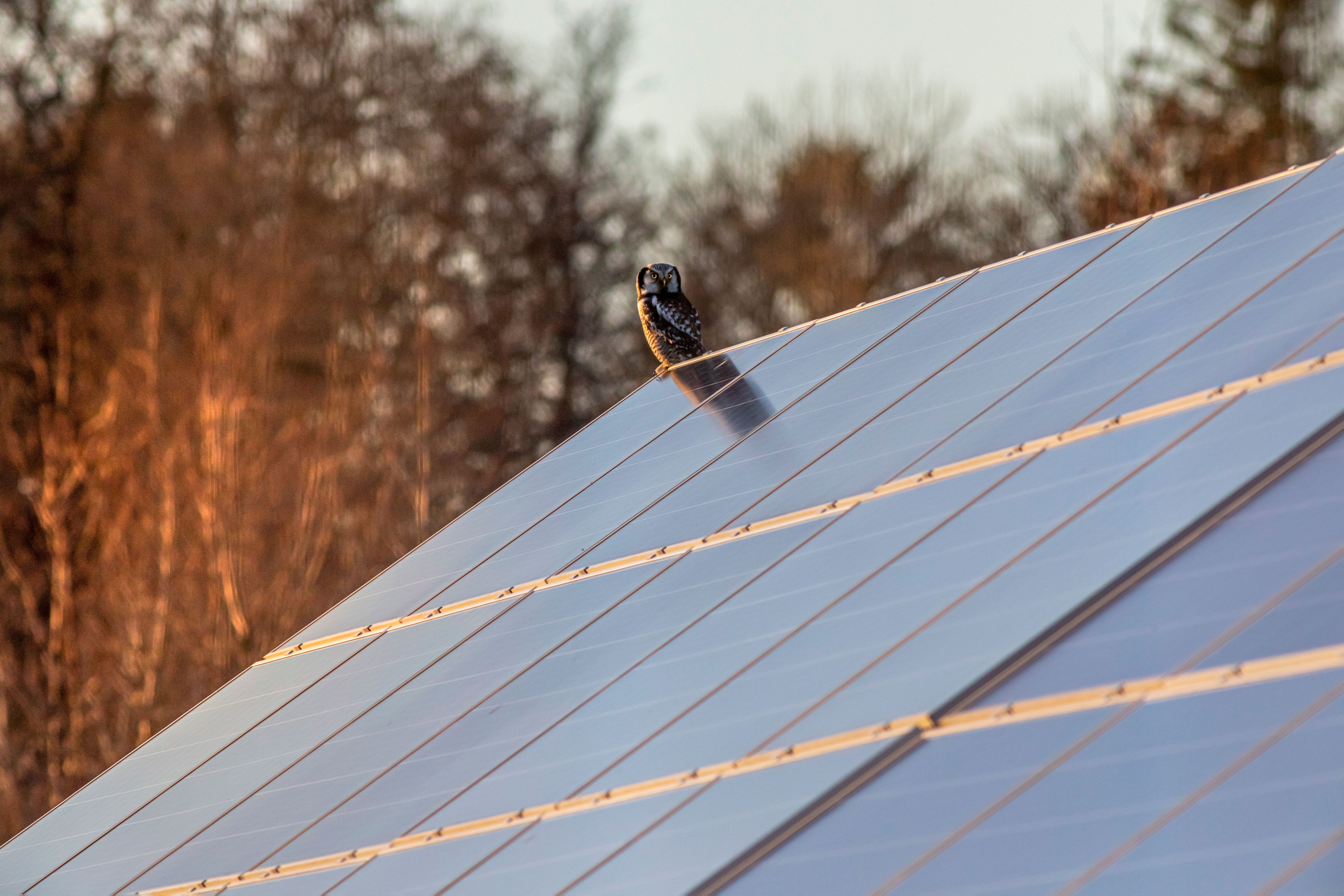 Energy Giants - solar, insulation and heating across Lancashire and the North West