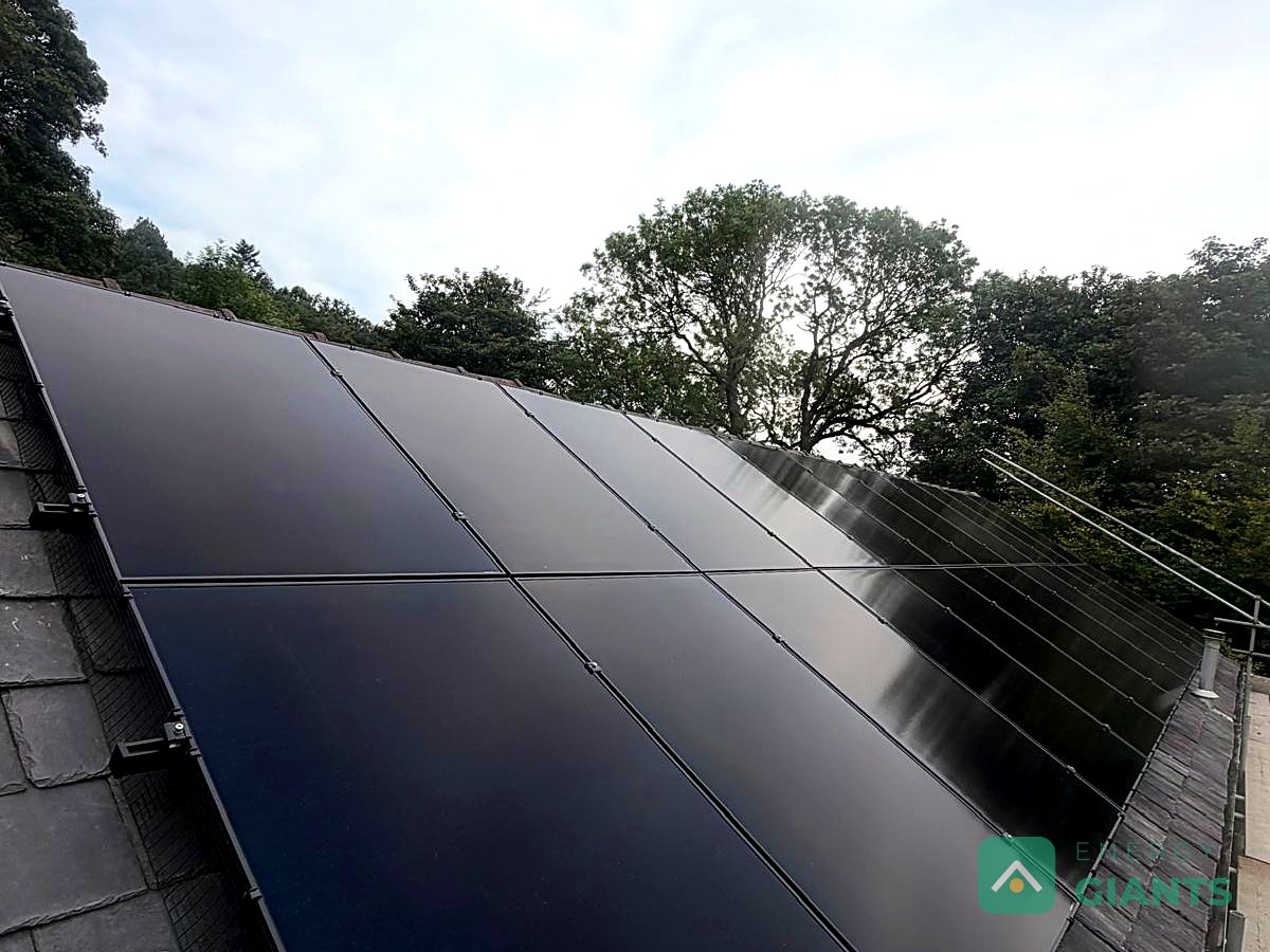 The edge of the array with trees behind