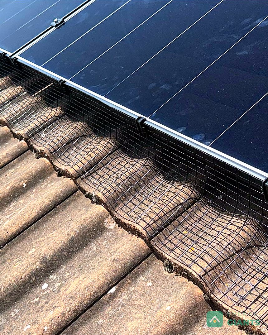 The finished array on the tiled roof with bird mesh fitted round the edge